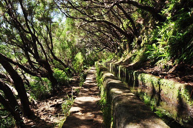 Rabaçal - Levada das 25 Fontes - Waterfalls and fountains: more than just pretty stops