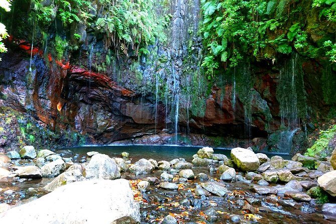 Rabaçal - Levada das 25 Fontes - Getting there from Funchal: timing, pickup, and a small-group pace