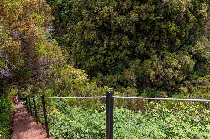 Rabaçal - Levada das 25 Fontes - What to pack: shoes, light, and layers for a wet Madeira day