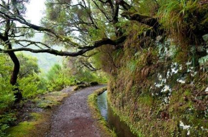 Rabaçal / Risco / 25 Fountains Full-day walk - Key highlights to know before you go