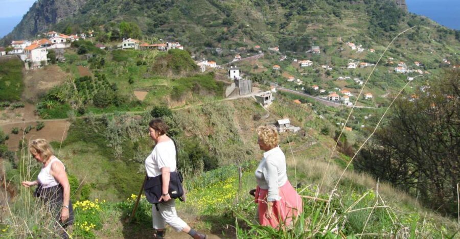 Referta & Castelejo: Half-Day Morning Walk - A Half-Day Morning Walk on Madeira’s Levada Paths
