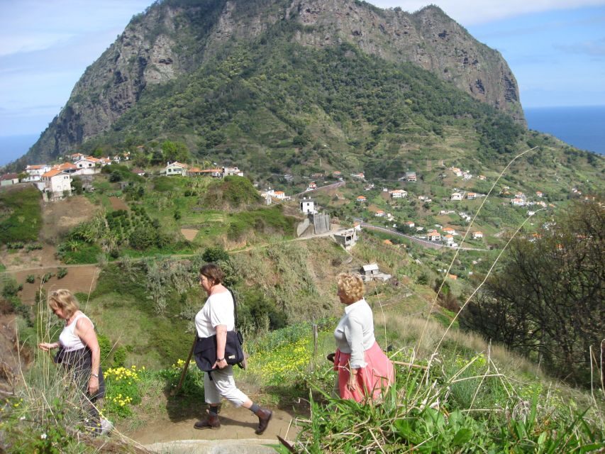 Referta & Castelejo: Half-Day Morning Walk - Levada do Castelejo: The Easy Start That Teaches You to Look
