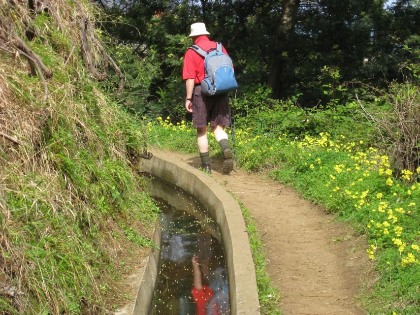 Referta & Castelejo: Half-Day Morning Walk - What You Need to Bring (and What Will Slow You Down)
