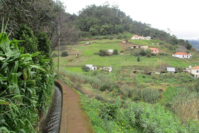 Referta - Castelejo Walk - Levada da Referta: the easy “morning legs” walk in Madeira