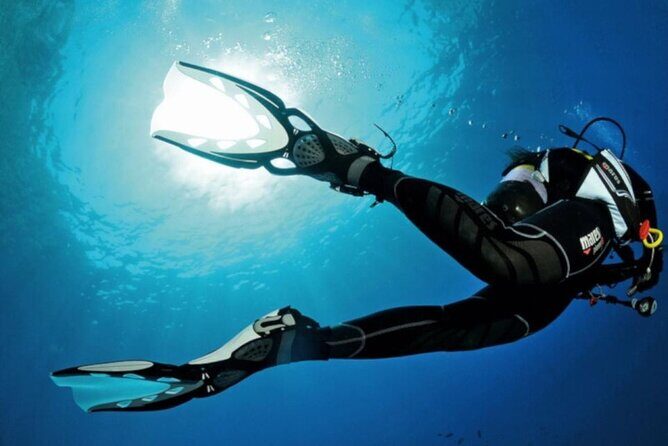 Scuba Diving Experience for Beginners in Ponta de São Lourenço - Before You Get Wet: Theory That Actually Helps