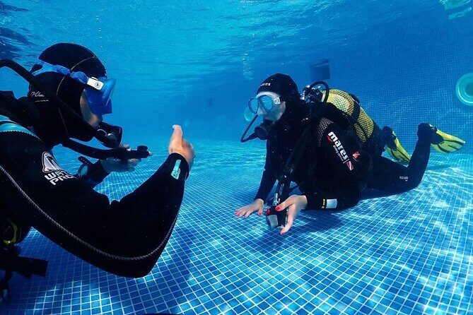 Scuba Diving Experience for Beginners in Ponta de São Lourenço - Learning the Gear: Where Beginners Usually Relax or Panic