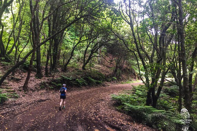 Sea 2 Mountain Running Tour (Moderate-Hard) - The effort breakdown: 5 km to about 900m, then easier running