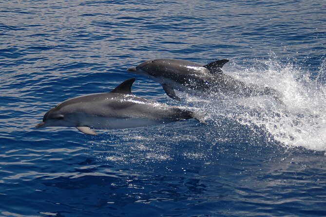 Seaborn Catamaran trips - Onboard Comfort: Bar, Toilet, and What to Bring for a Smooth Ride