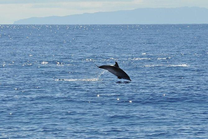 Seaborn Catamaran trips - Who This Catamaran Trip Is Best For