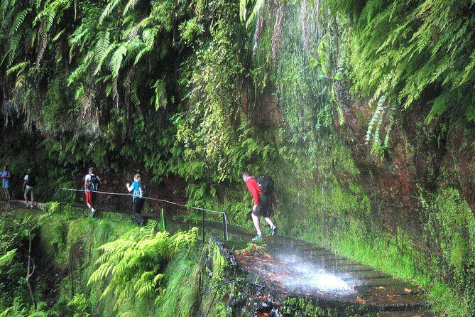The King's Levada - Levada do Rei - Key highlights you’ll notice on this hike