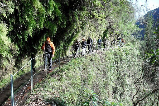 The King's Levada - Levada do Rei - Levada do Rei: why this guided walk is worth your time