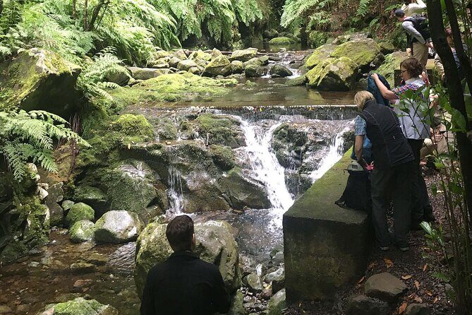 The King's Levada - Levada do Rei - Trail route that matters: Quebradas to Ribeiro Bonito