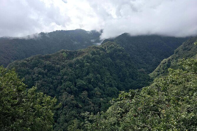 The King's Levada - Levada do Rei - Getting to the trail: Funchal pickup and the 8:30 am start