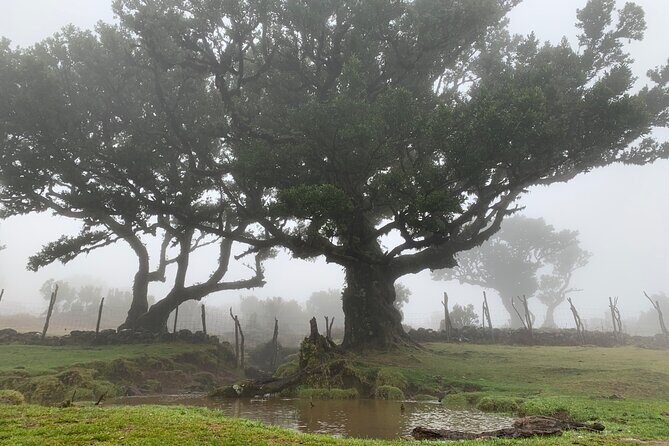 The Untraveled West Tour - West Madeira by 4x4: why this tour works