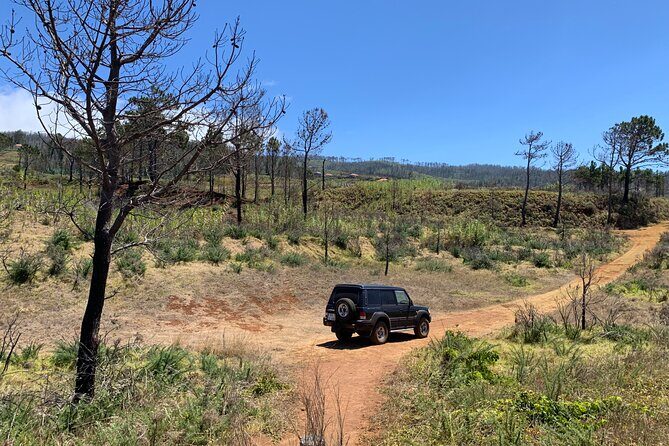 The Untraveled West Tour - Stop 1: Posto Florestal Fanal and the feel of “old Madeira”
