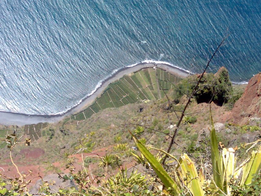 Toboggan Ride & Madeira Wine Tasting Tour - Timing reality: why “4 hours” can feel fast