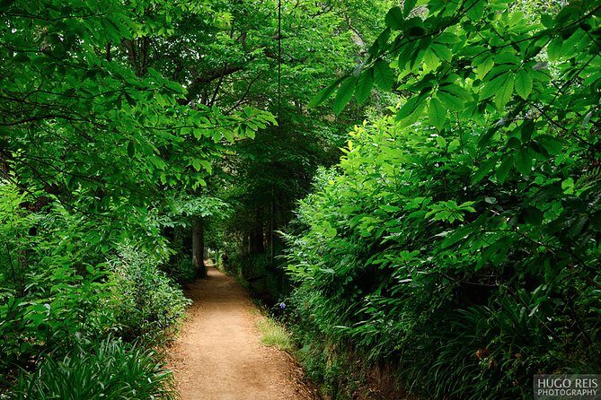 Vale Paraiso - Paradise Valley Walk - Key highlights worth noting