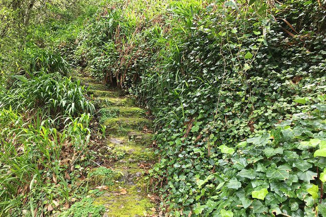 Vale Paraiso - Paradise Valley Walk - Camacha’s “work-and-play” country: what you’re really signing up for