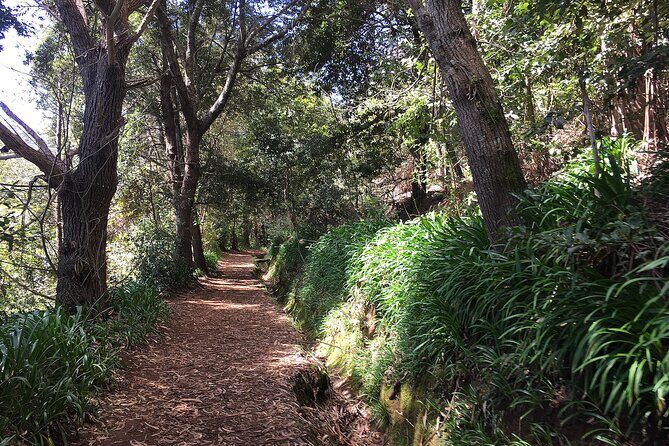 Vale Paraiso - Paradise Valley Walk - Caminho do Rochão: the easy walk that follows the levada