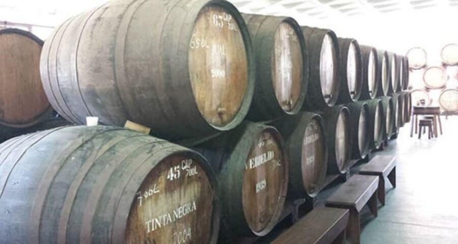Visiting local Vineyard With Wine Tasting & Lunch included - Price and Value at $188 Per Person