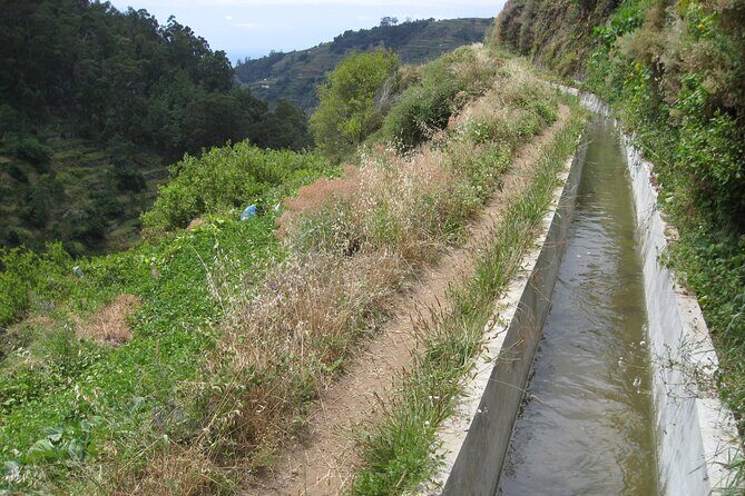 Walking Experience in the Serra D'Água Valley - Nature Talk Along the Way: Flora, Fauna, and Island History