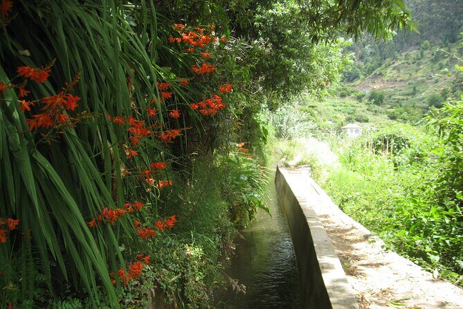 Walking Experience in the Serra D'Água Valley - The Drive in an Air-Conditioned Vehicle: Worth It in Madeira Heat