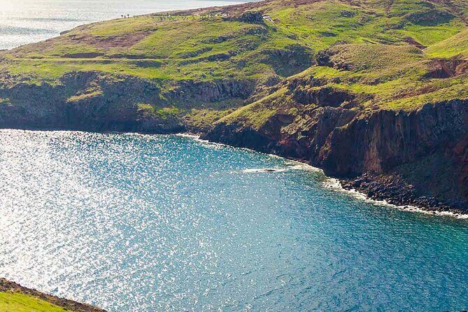 West of Madeira Private Half-Day Tour - Câmara de Lobos: Fishing Boats, Monk Seals, and Poncha on the Bay