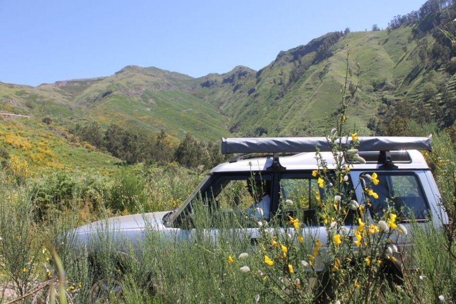 West Tour Full day 4x4 Jipe Tour Natural Swimming Pools - Key points to know before you go