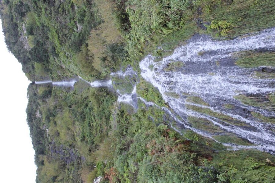 West Tour Full day 4x4 Jipe Tour Natural Swimming Pools - Fanal Forest and Ribeira da Janela: photo stops with real atmosphere