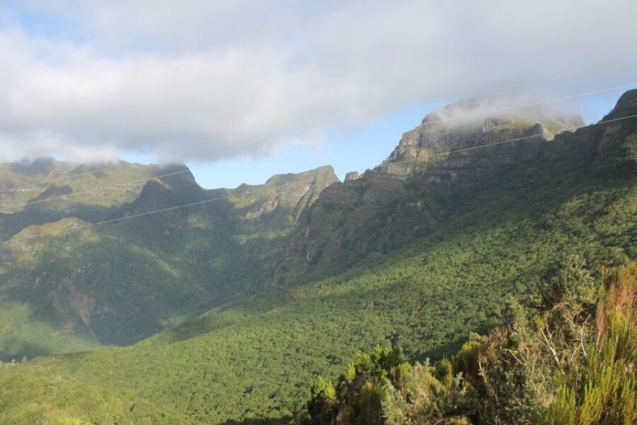 West Tour Full day 4x4 Jipe Tour Natural Swimming Pools - What to pack and how to pace yourself