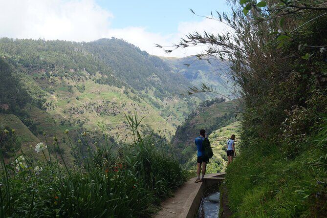 Wet your hair in the amazing Moinhos/Nova Levada - Getting to Levada do Moinho: What the Trail Really Feels Like