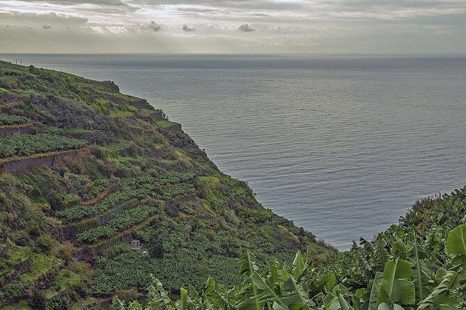 Wine + Dolphin Watching - Full Day- Shared Tour - Wine tasting + guidance: how the tasting is framed